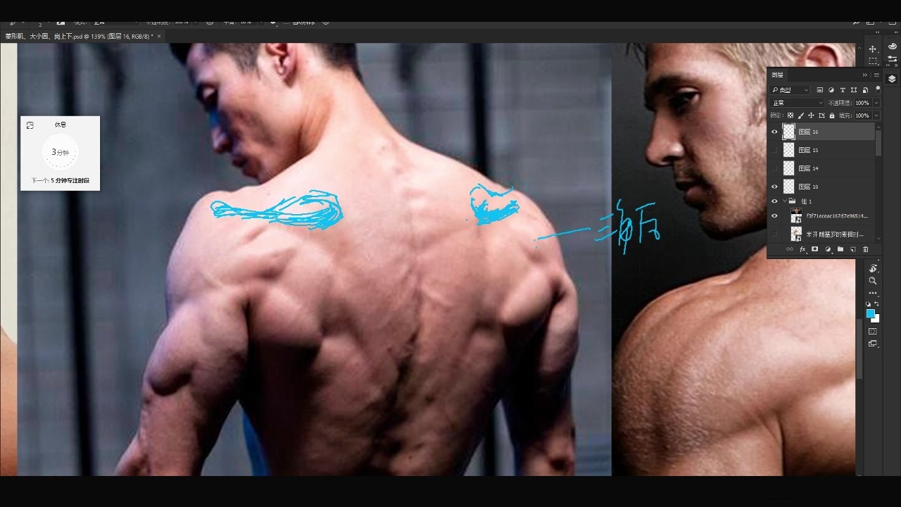 冈上肌结构分享，嘿嘿