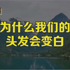 为什么我们的头发会变白