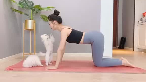 df636553051a8f258f044f3f0af64fb03b4a61c2.png@480w_270h_1c