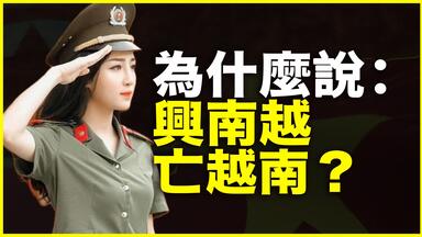 明明一国一族，为什么却说：兴南越，亡越南？南越为什么会“车裂”越南？