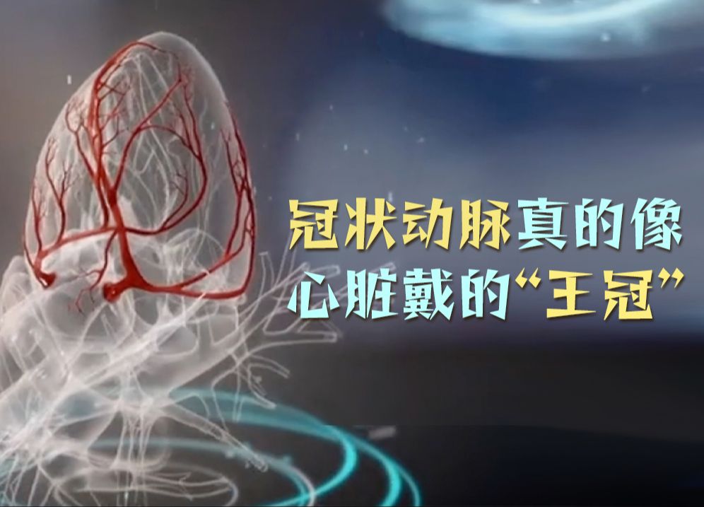 冠状动脉真的像心脏戴的“王冠”