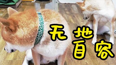 df703c337ff8ca750feba5392d8ebaf3da1639cc.jpg@480w_270h_1c