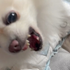 14岁的猛女发飙