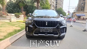 国产汽车销量排行榜_汽车销量排行榜