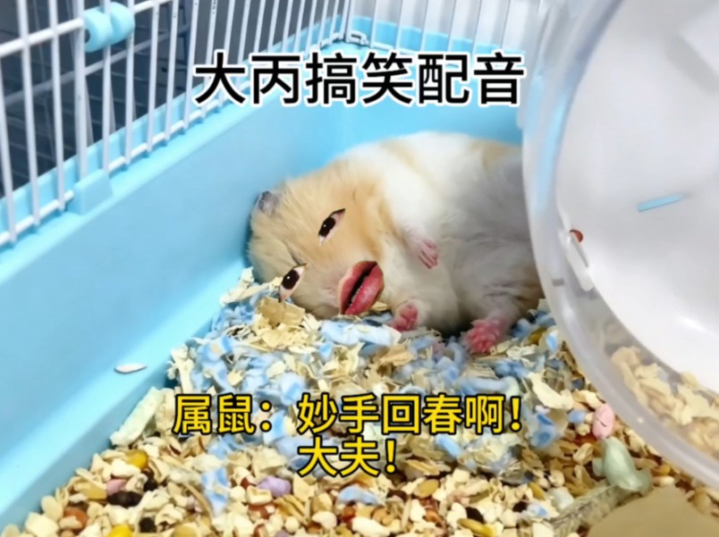 大丙搞笑配音