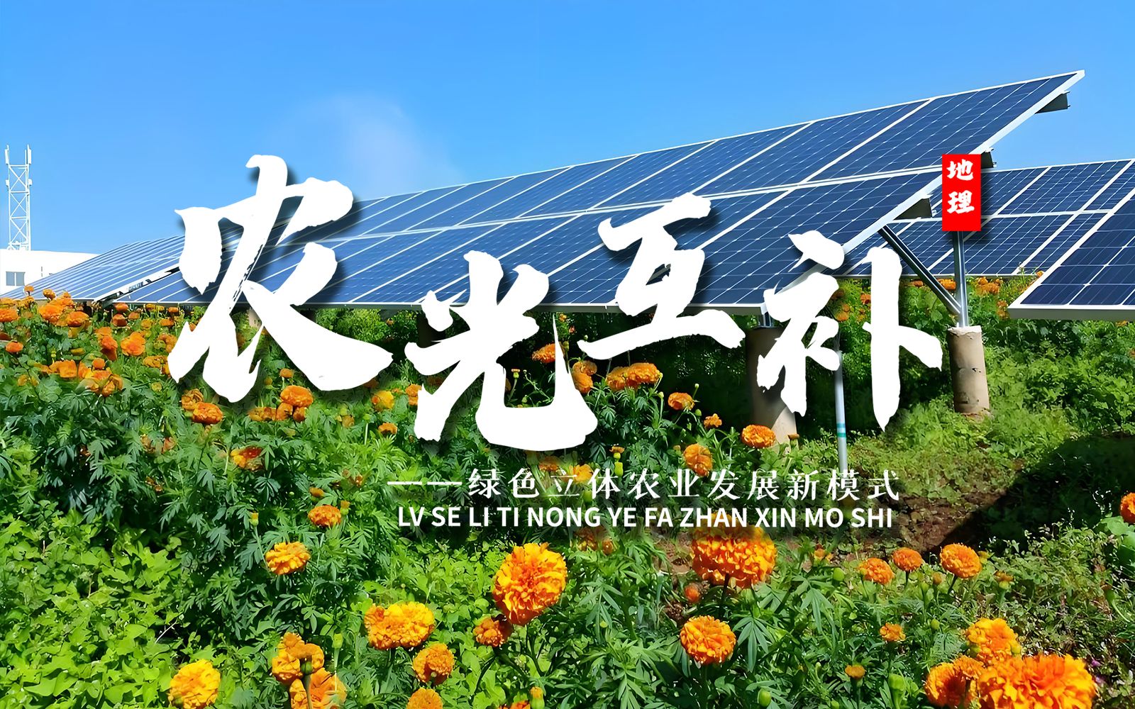 课前三分钟，地理不用愁——农光互补【看纪录片学地理】