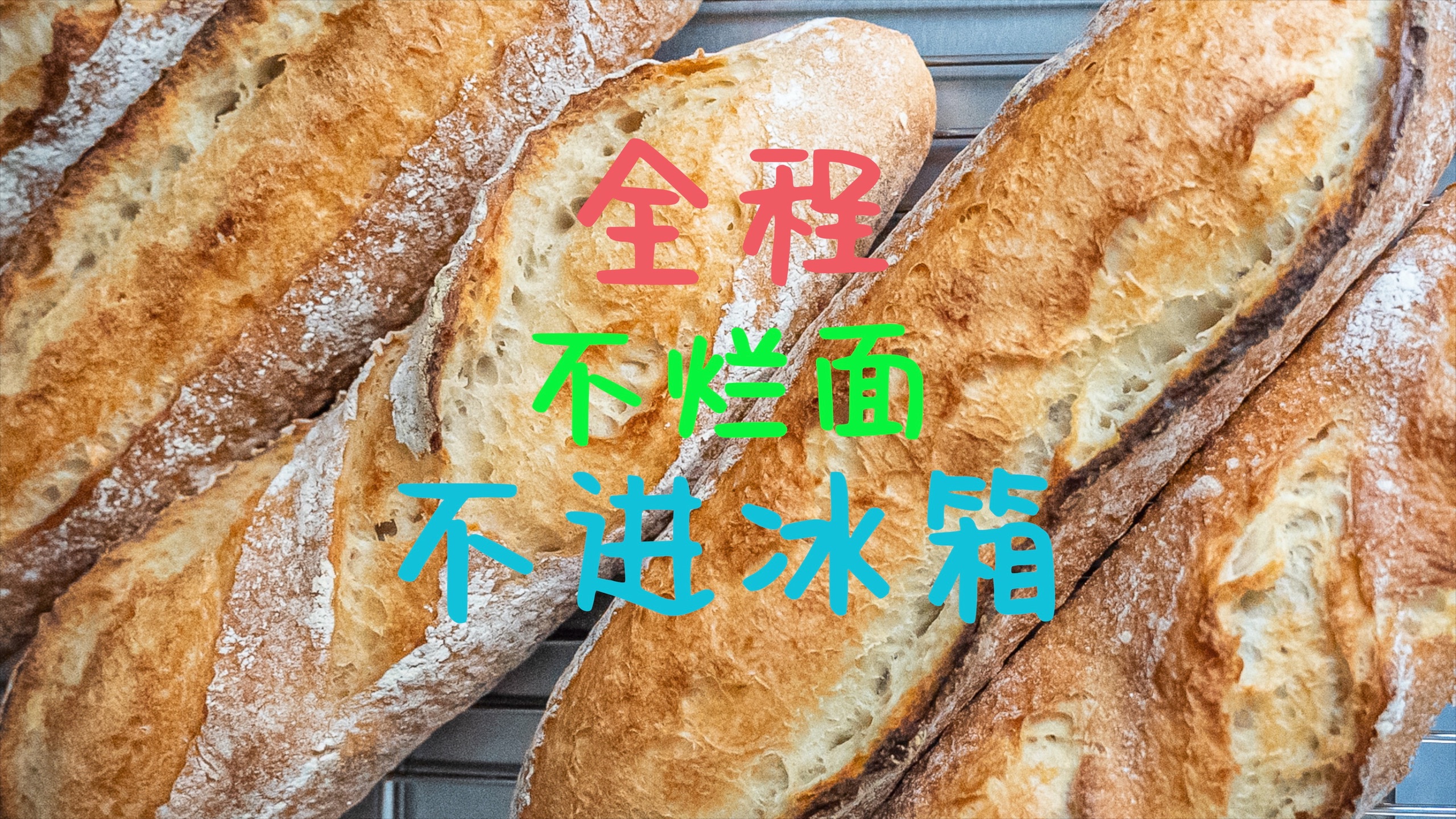 t65面团一加鲁邦种就烂面？一招解决！适用法棍和欧包