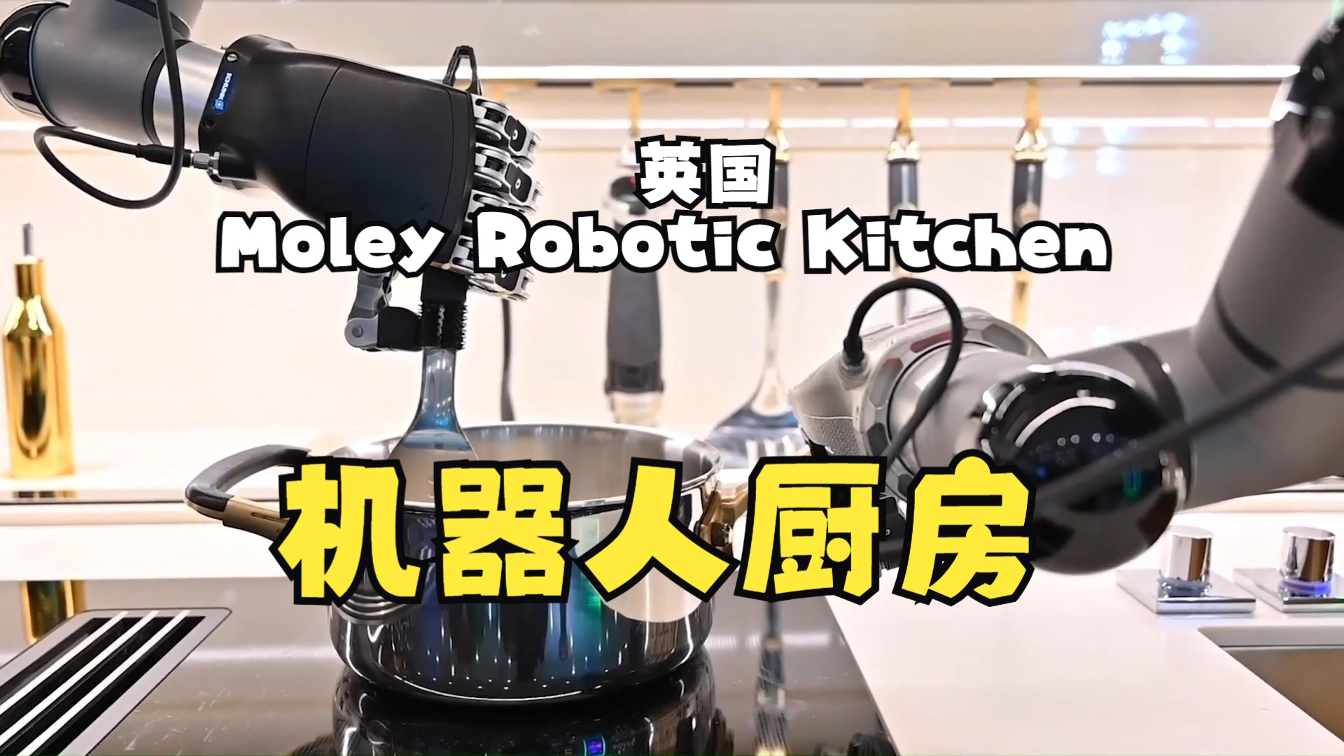 英国 Moley Robotic Kitchen 机器人厨房，烹调机械臂，厨房烹饪机械手