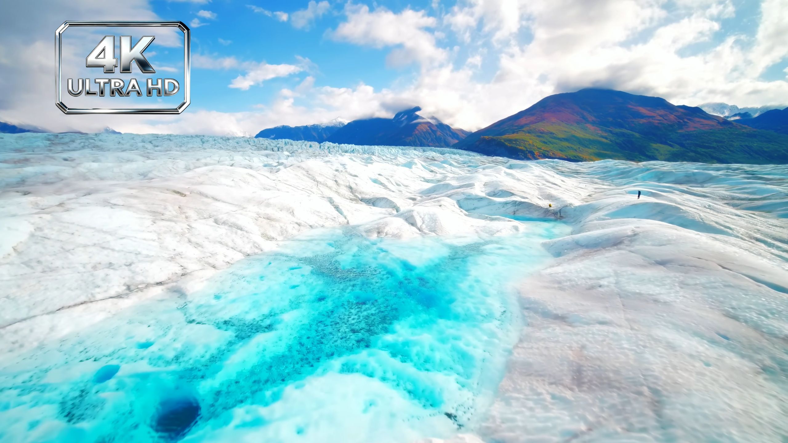 【4K高清】阿拉斯加——荒野壮阔的极地边疆