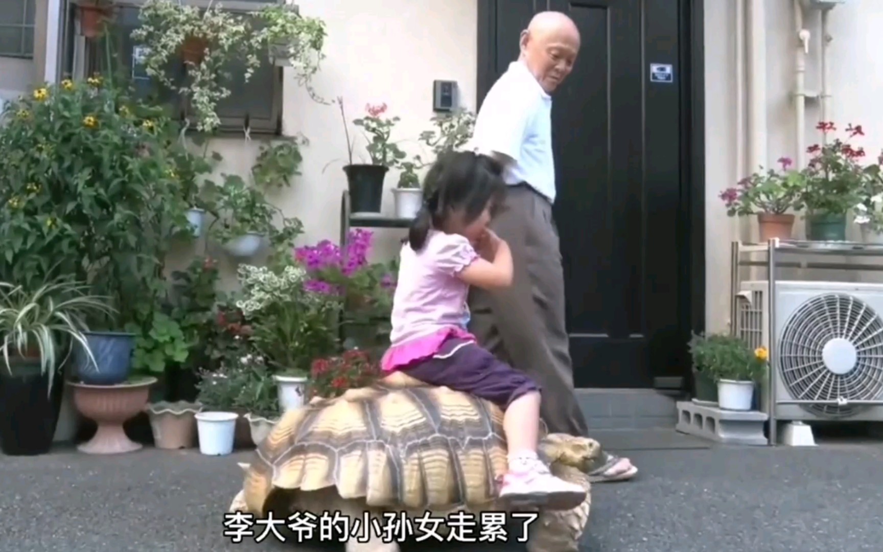 这乌龟就离谱，居然可以当小女孩的坐骑。