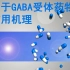 GABA受体药物的作用机理 | 芥末药学堂