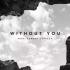 MV   :  【Avicil】- 《Without You 》(1080p)