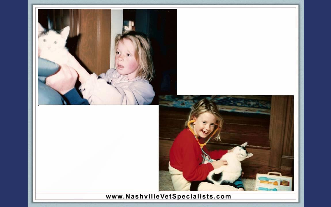 Nashville Veterinary Specialists Lectureiampg9413iampg9413哔哩哔哩视频