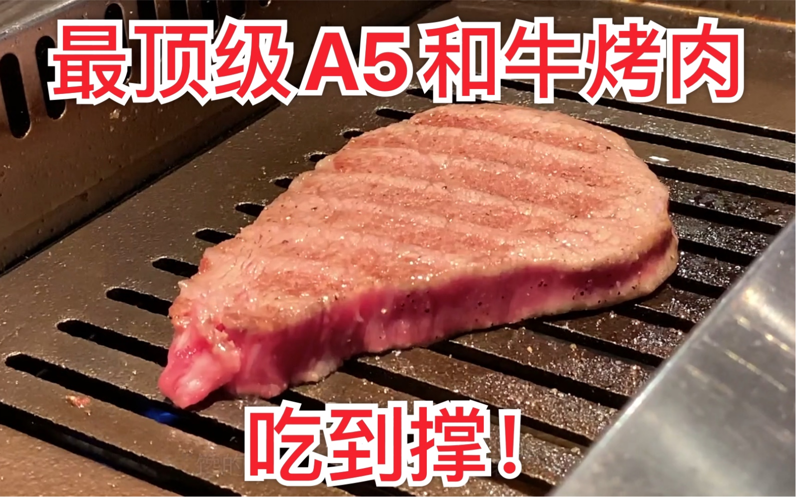 【食酒vlog.51】一个人吃日本最顶级的A5和牛烤肉到撑要花多少钱？