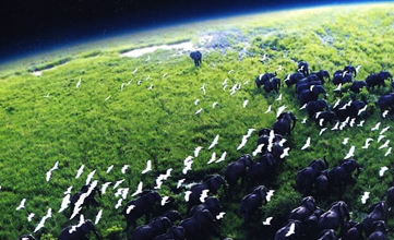 【纪录片/bbc】地球脉动-planet earth (2006)