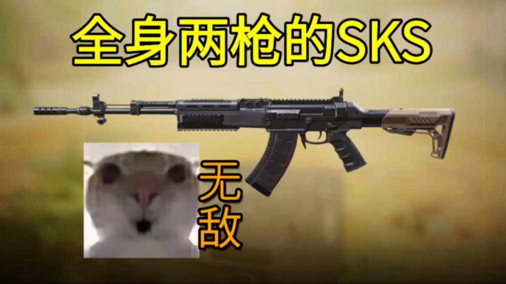 见过全身两枪死的sks吗？