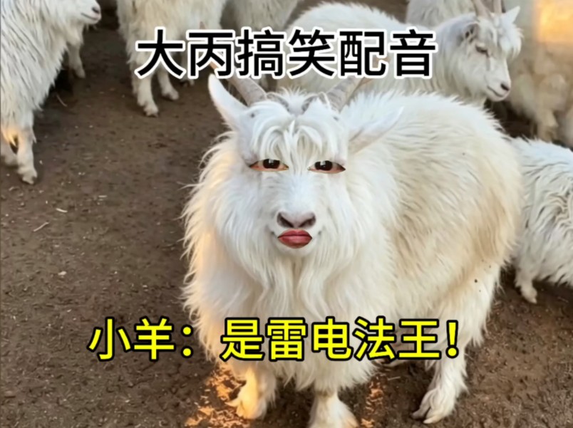 小羊：是雷电法王！