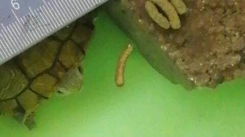 e063aafb8f3671b4d97025d1a52334340118944e.jpg@480w_270h_1c