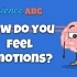 情绪和大脑 | 什么是边缘系统？