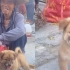 70多岁老人看着刚买的小狗满脸笑容：自己一人在家，买个小狗作伴