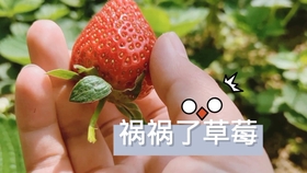 e08373d1dd079fc5f4671707ef95ea3ee73a1e7f.jpg@280w_158h_1c_100q.jpg