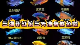 怎么养鱼不浑水 e0863e2b220555b99c1e4689de81079518299867.jpg@280w_158h_1c_100q.jpg