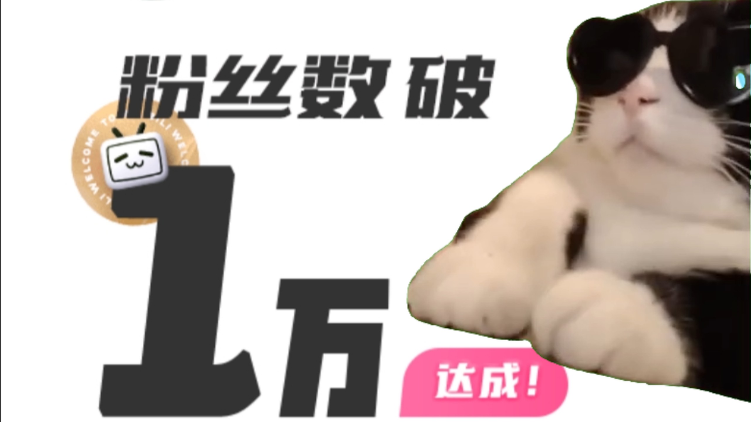 【猫meme】我们万粉啦！！！！