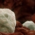 生命的奥秘-胚胎的发育过程