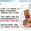 18.小肠CTE图像后处理技术规范及临床应用-CT、MRI图像后处理系列