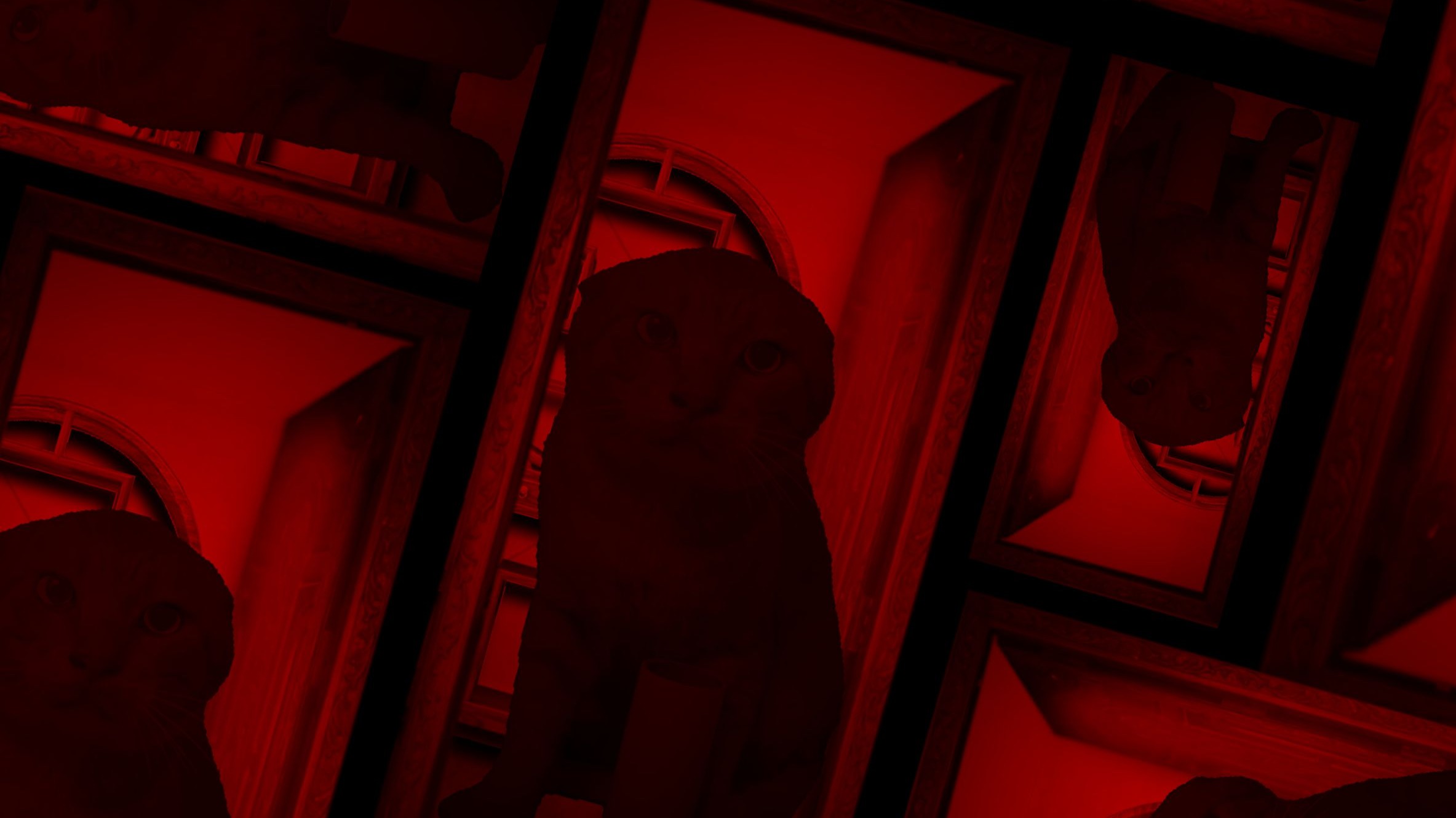 异世界耄耋🐱哈基米音乐Anxiety