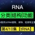 tRNA结构和功能