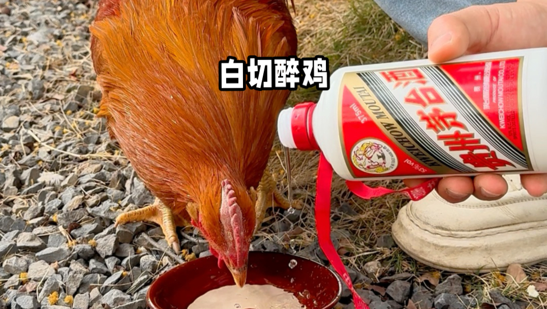 白切醉鸡