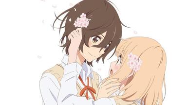 【BD1080P】<em class="keyword">牵牛花与</em>加濑同学。 映像特典【生肉】