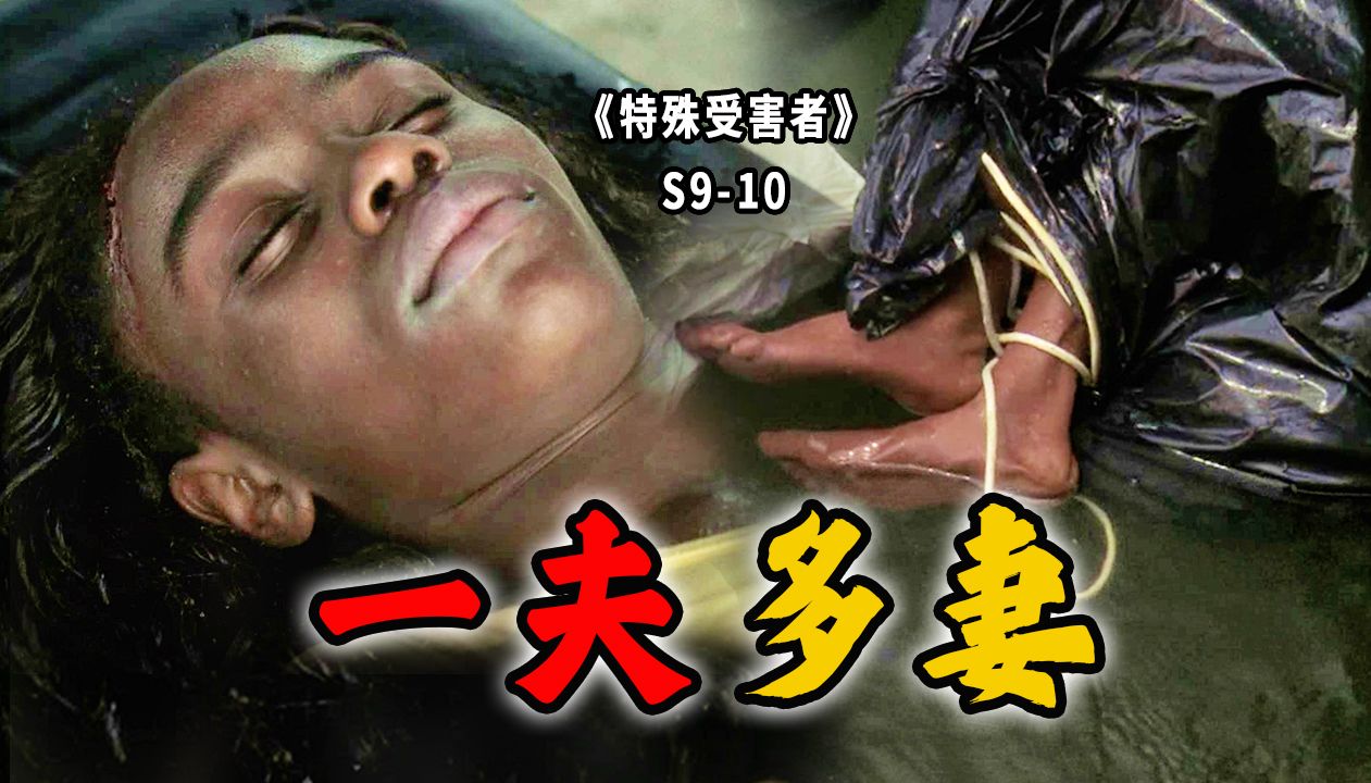 小娇妻成河中浮尸，一个男人三个老婆，和谐家庭却暗藏杀机《SVU》S9-10