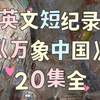 中英文短《万象中国》20集全，通过一个个生动的故事展现了中华文明的独特魅力与光泽，板泉原因只上传这些，其余在网盘，可下载