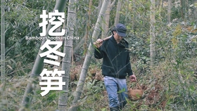 啥时候疫情能过去呢 e0fad3352cd9dcb136fa8e9dd0aa820b0974243d.jpg@280w_158h_1c_100q.jpg