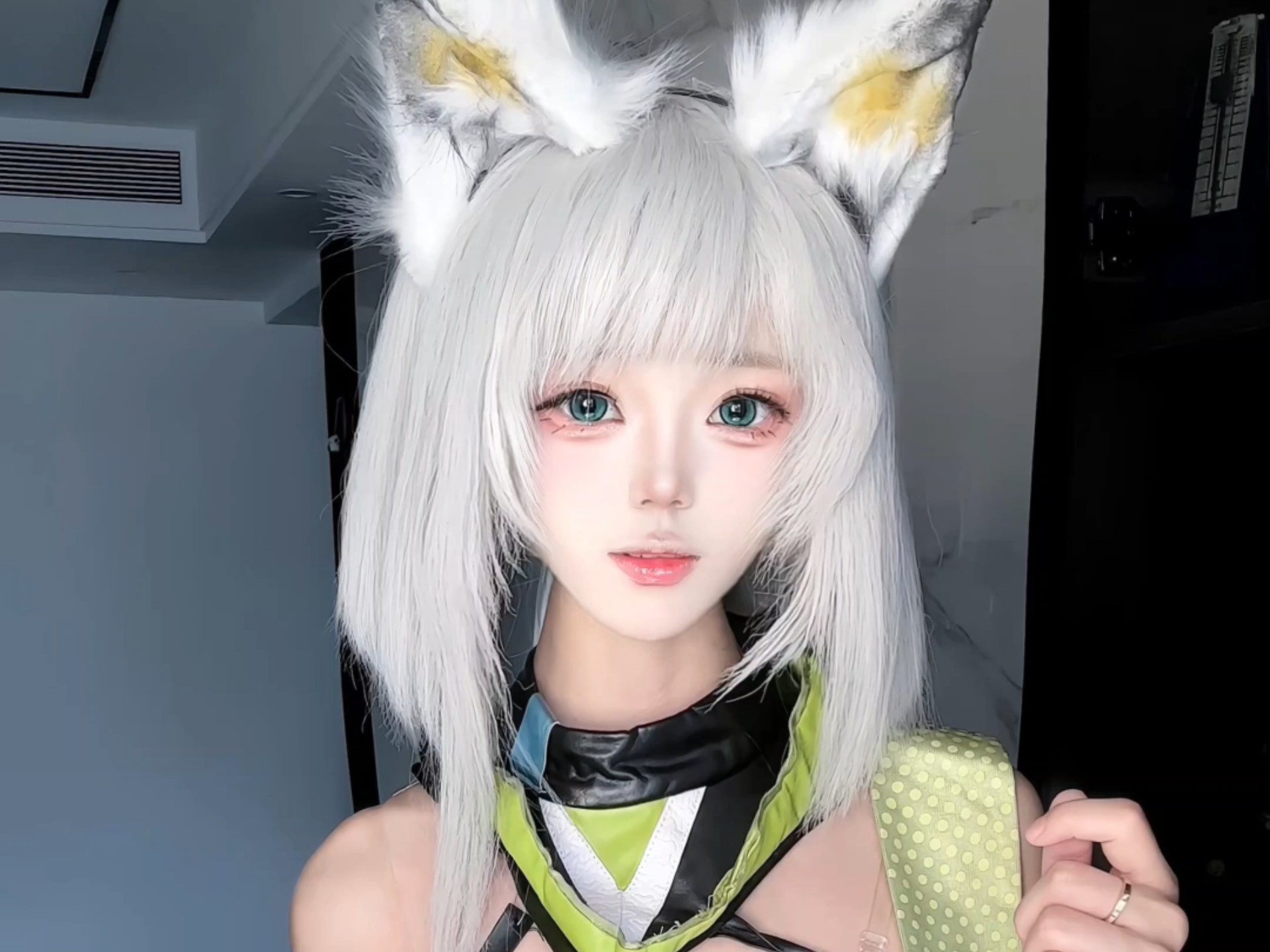 爵士好猫