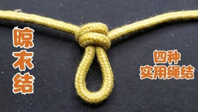 e11b8b34b45d9e28f9ecd462ba5f1be3b06d8bff.jpg@280w_158h_1c_100q.jpg