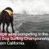 【BBC News】狗冲浪世锦赛在美国举行
