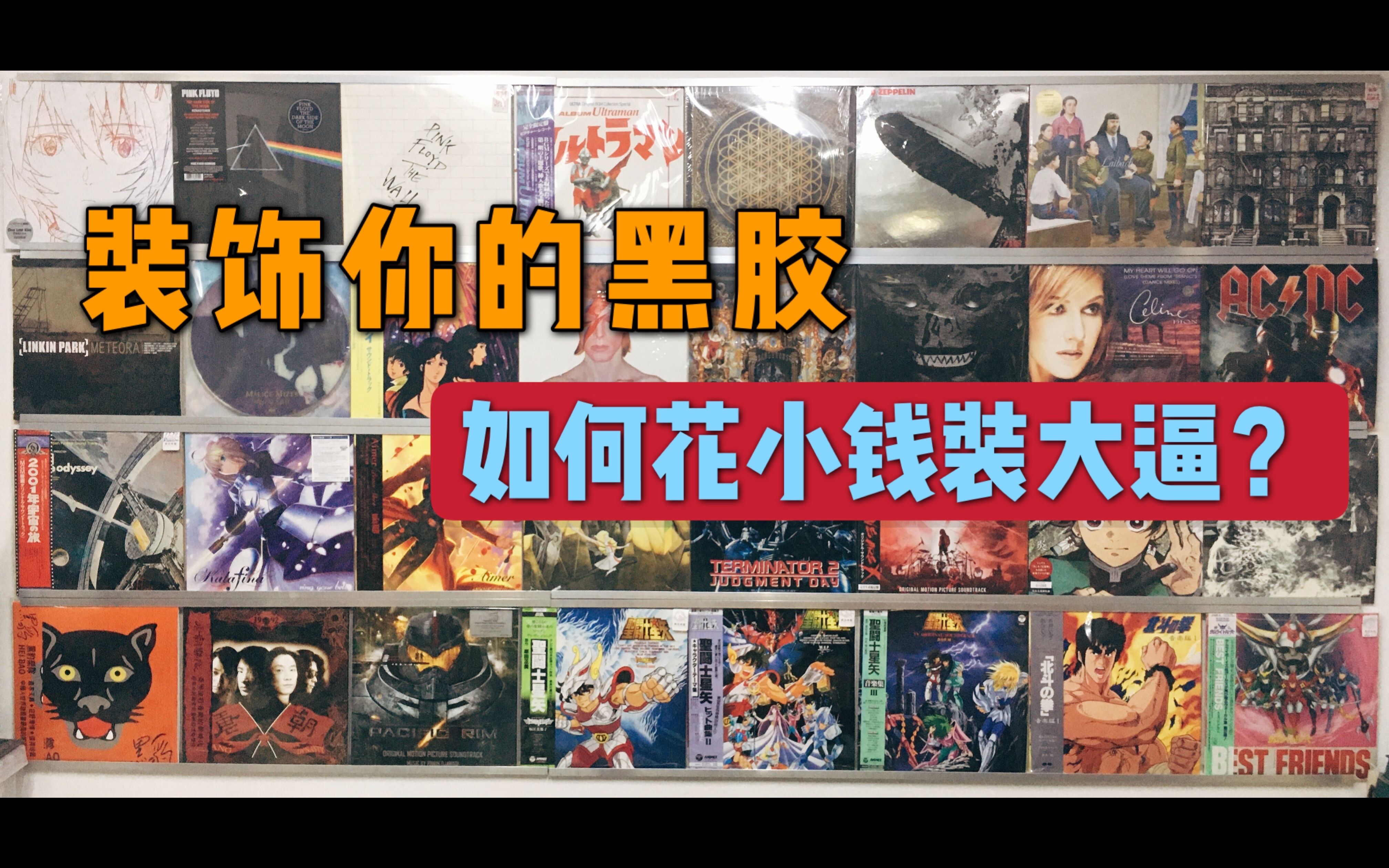 性价比超高的黑胶展示大法，百元以内单品推荐～