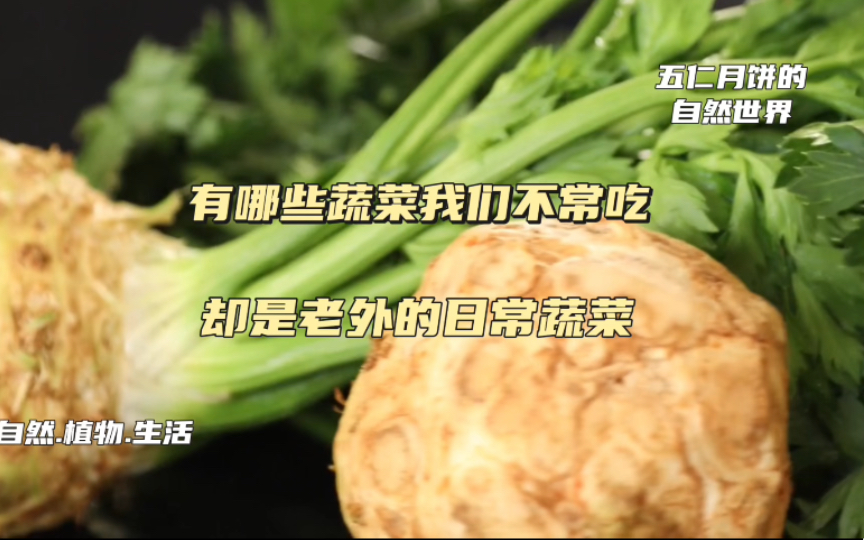 哪些中国不常吃，而外国人习以为常的蔬菜？
