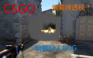 《CS:GO》【CSGO】烟雾弹透视BUG？隔烟看到人！(视频)