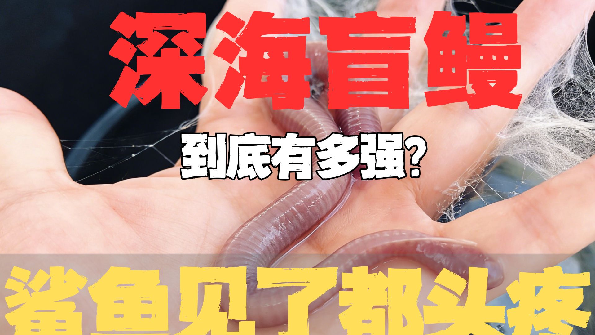 能瞬间把大量水变成粘液的深海怪物！
