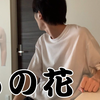 [中文字幕]吃着那朵花的盐拉面的时候遭遇了面码（假的