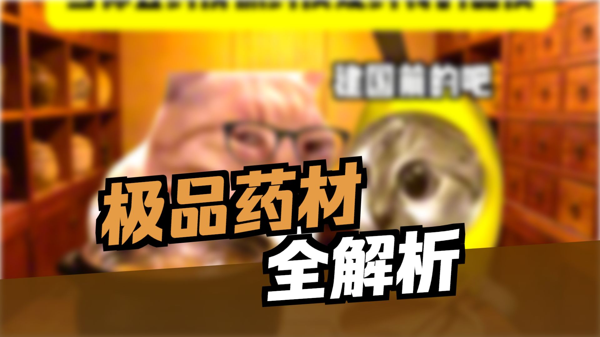 当你去药房抓药质疑药材的品质