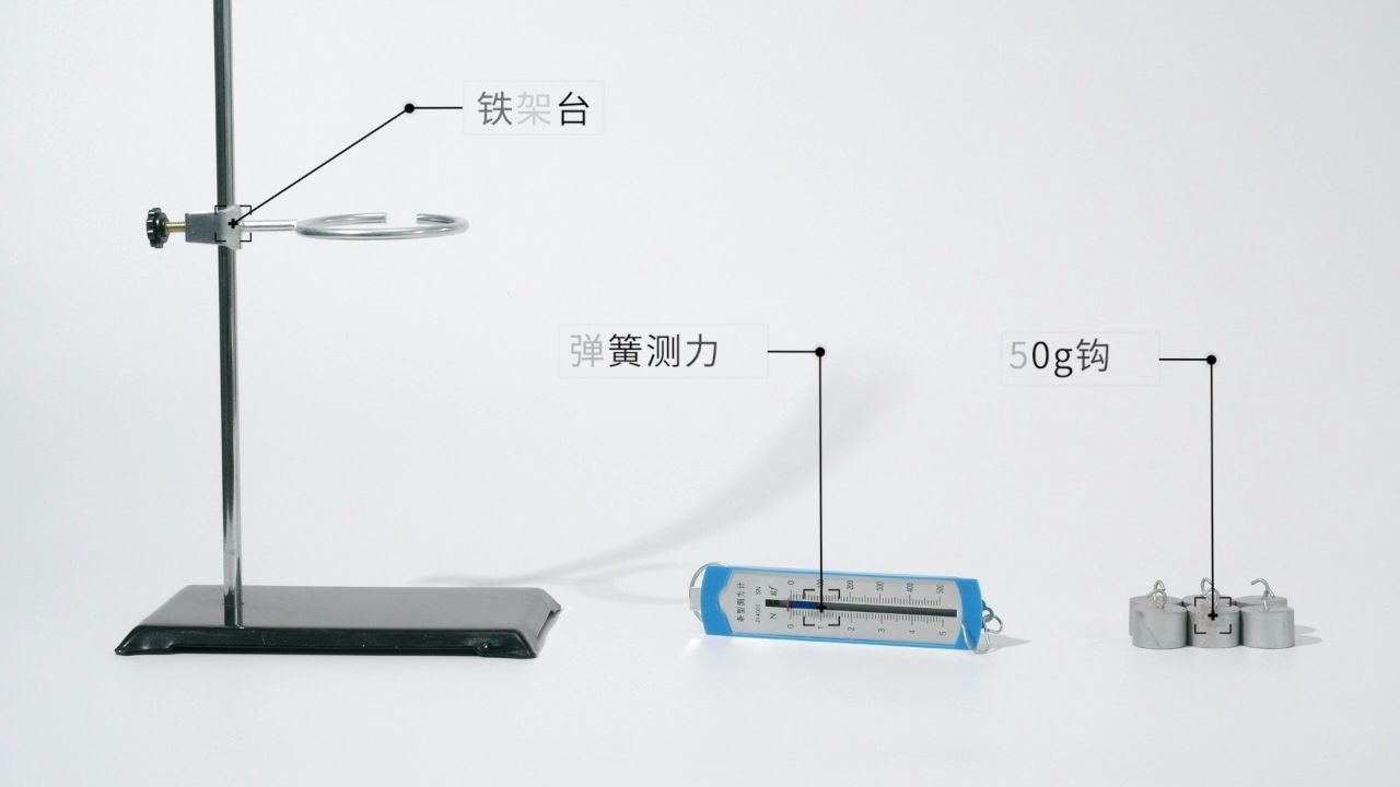 【物理】探究重力与质量的关系