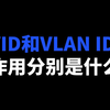 PVID和VLAN ID的作用分别是什么