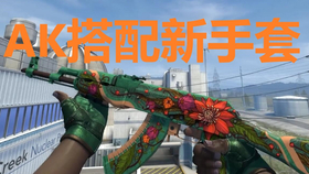 csgo怎么搭人_csgo茄子(2)