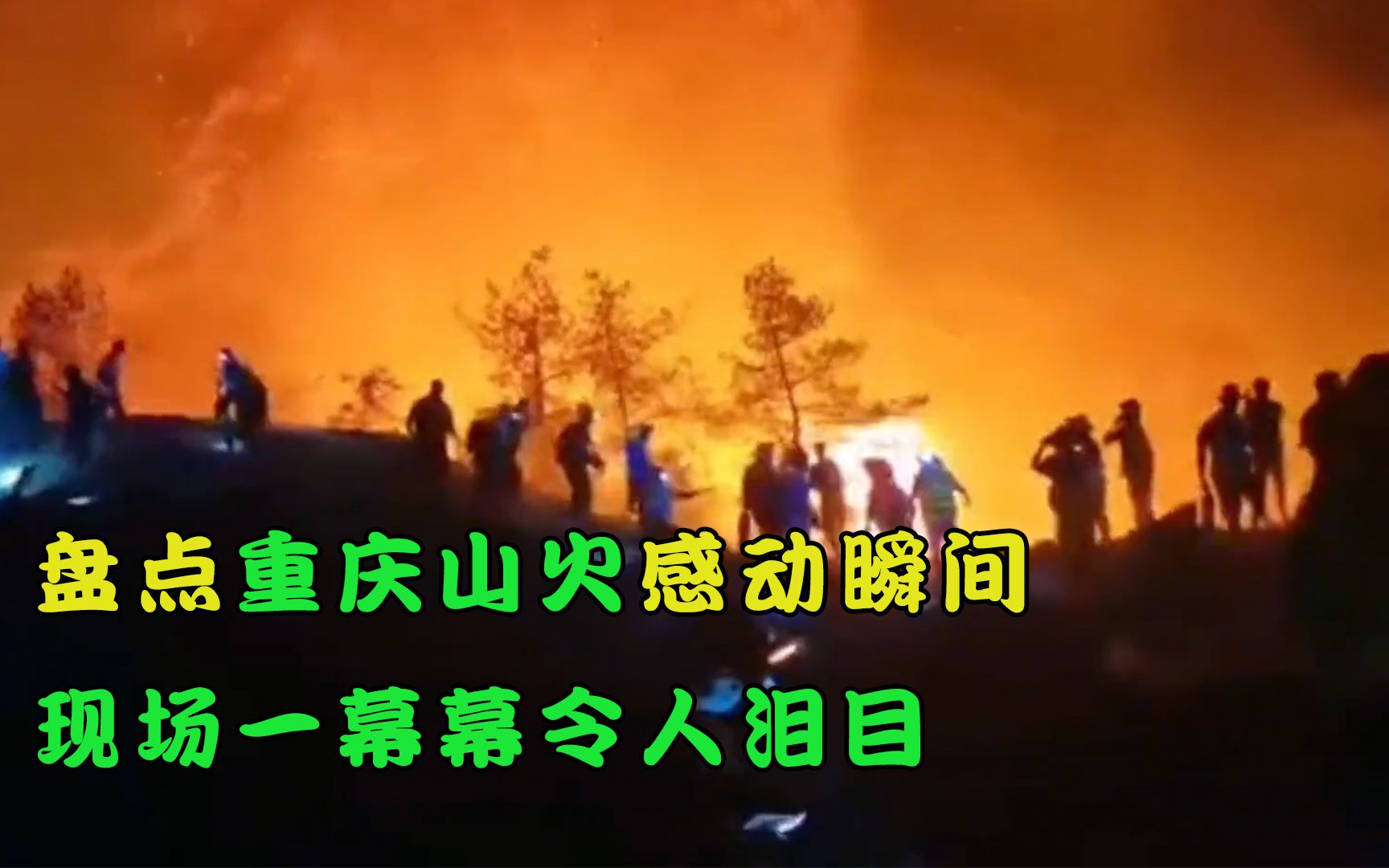 #河南安阳42死火灾调查报告公布 #热点知多少_凤凰网视频_凤凰网