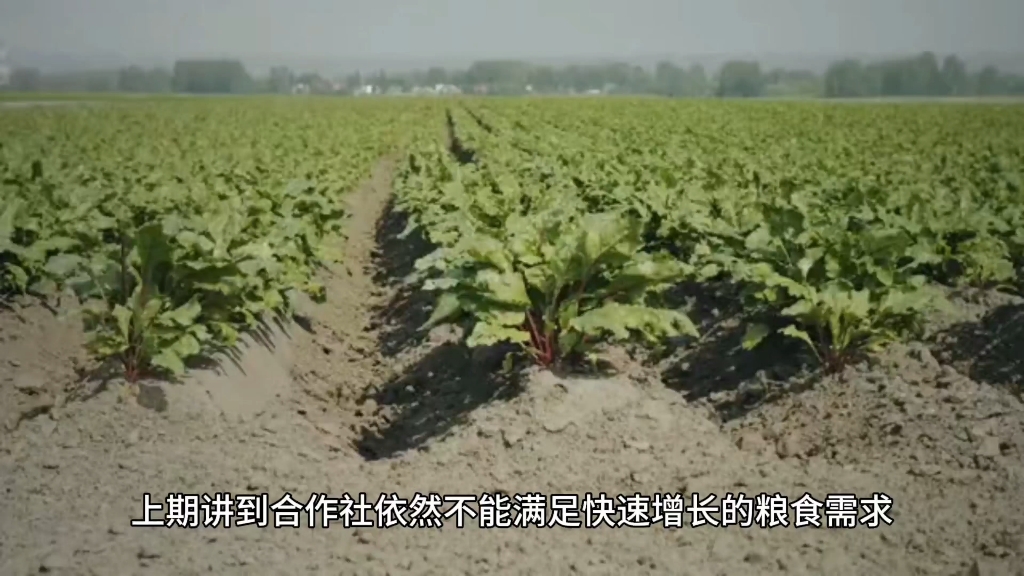 人民公社的建设成就、存在的问题和一些刻板印象的说明